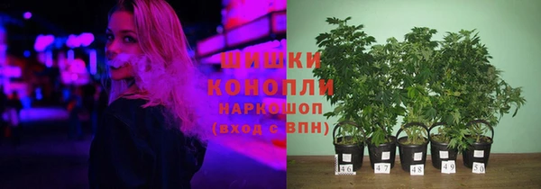 ПСИЛОЦИБИНОВЫЕ ГРИБЫ Алексеевка