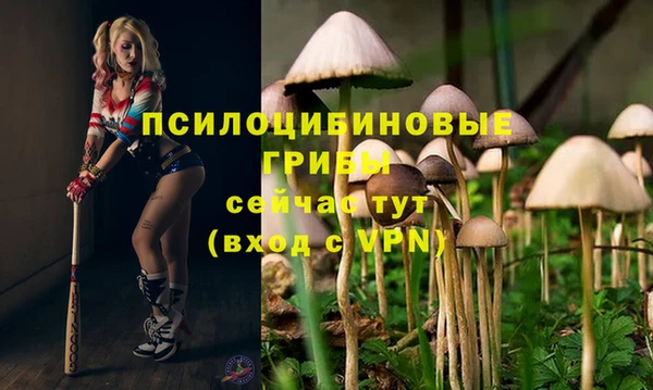 ПСИЛОЦИБИНОВЫЕ ГРИБЫ Алексеевка