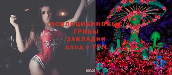 ПСИЛОЦИБИНОВЫЕ ГРИБЫ Алексеевка