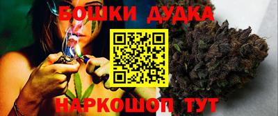 индика Ирбит
