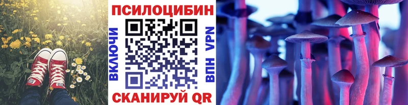 Галлюциногенные грибы MAGIC MUSHROOMS  Мичуринск 