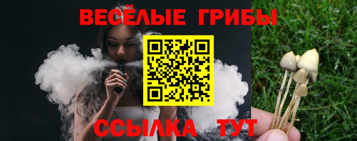 Мичуринск  Псилоцибиновые грибы MAGIC MUSHROOMS  купить  сайты  Вход с VPN  Галлюциногенные грибы Psilocybine cubensis 